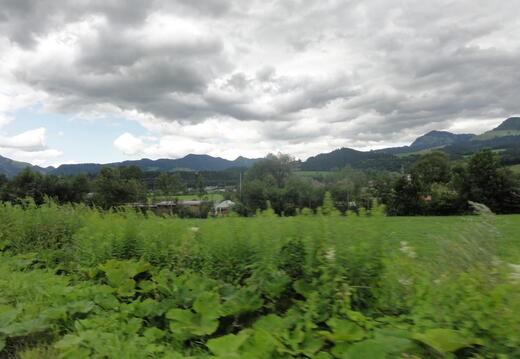 DSC05611